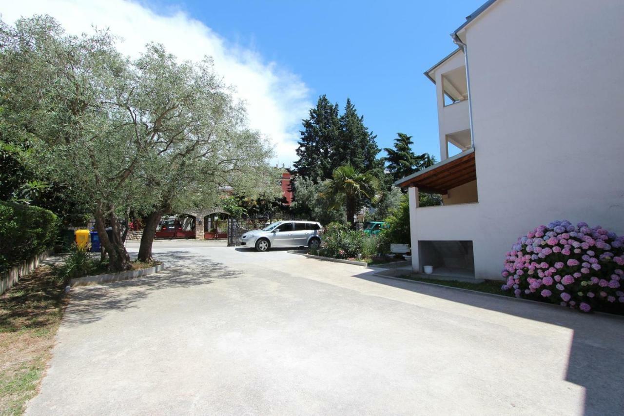 Apartma Sena
